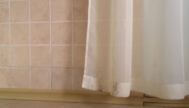 Best Emergency Mold Remediation  in Brownsville, OR