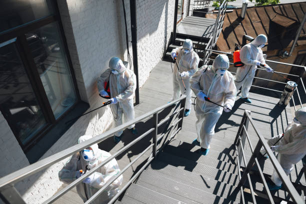 Asbestos and Lead Testing During Mold Inspection in Brownsville, OR