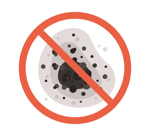 Best Biohazard Mold Removal  in Brownsville, OR