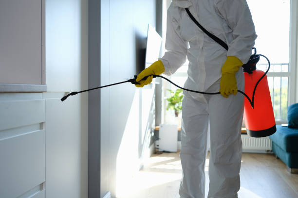 Trusted Brownsville, OR Mold Removal Experts