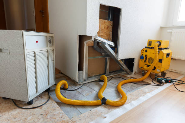 Best Comprehensive Air Testing for Mold Contaminants  in Brownsville, OR
