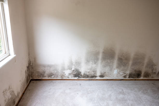 Best Indoor Air Quality Assessment  in Brownsville, OR