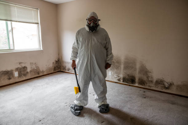 Best Air Quality Testing for Mold Spores  in Brownsville, OR
